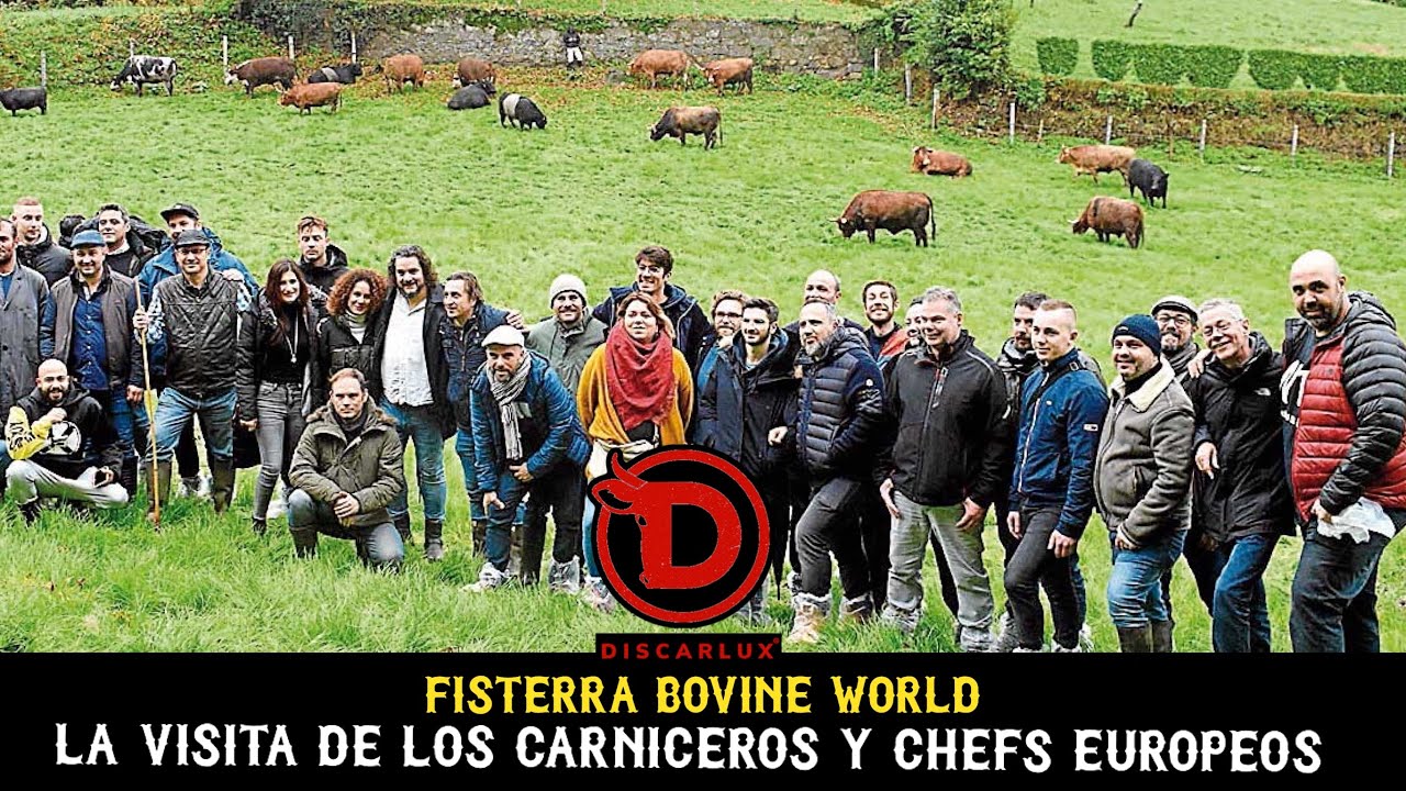 la visita de los carniceros y chefs europeos a FISTERRA BOVINE WORLD