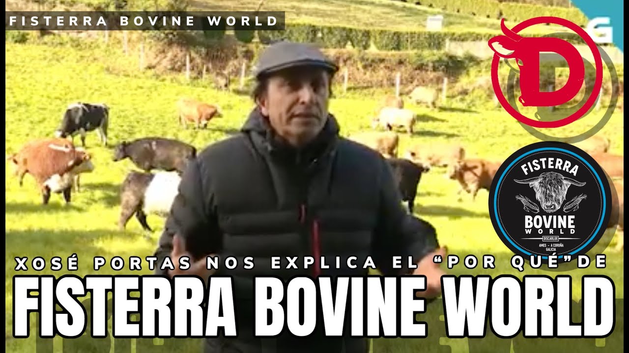 FISTERRA BOVINE WORLD - El origen
