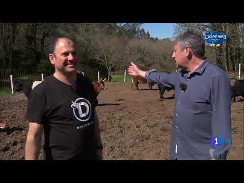 Aquí la Tierra Visita Fisterra Bovine World