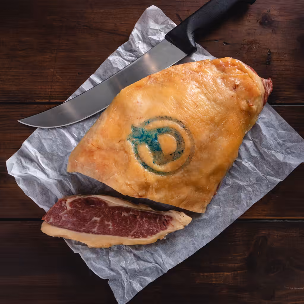 carne alonso