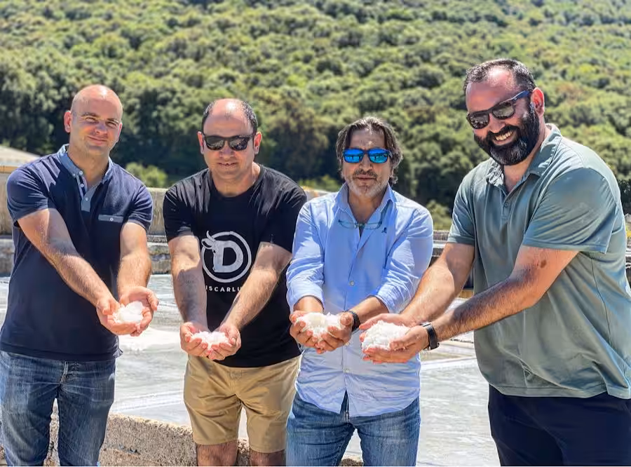 sal grupo