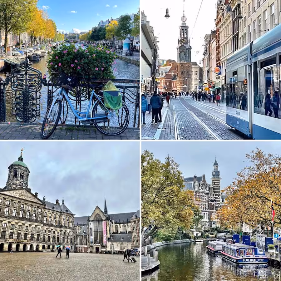 sagardi amsterdam