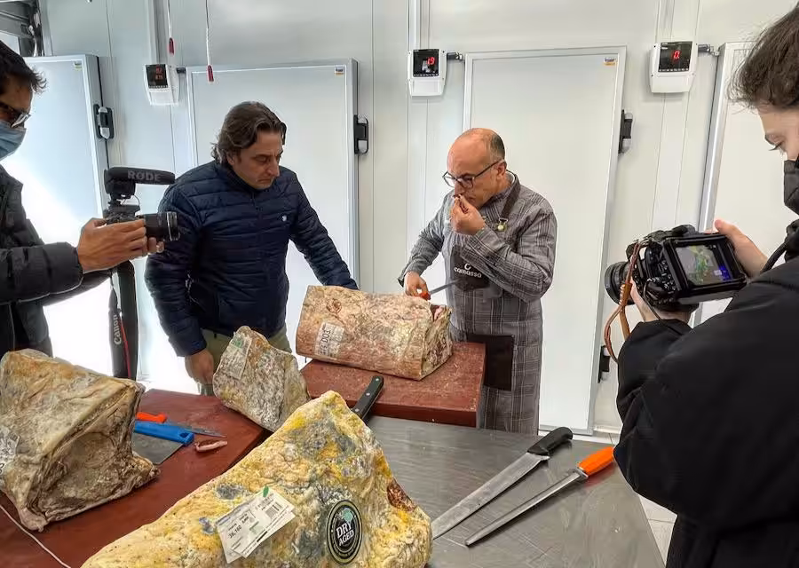 camassa grabando