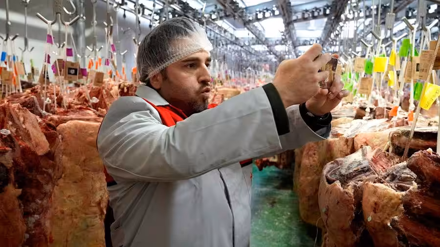 bustamante carnes