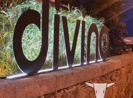 divino_portada