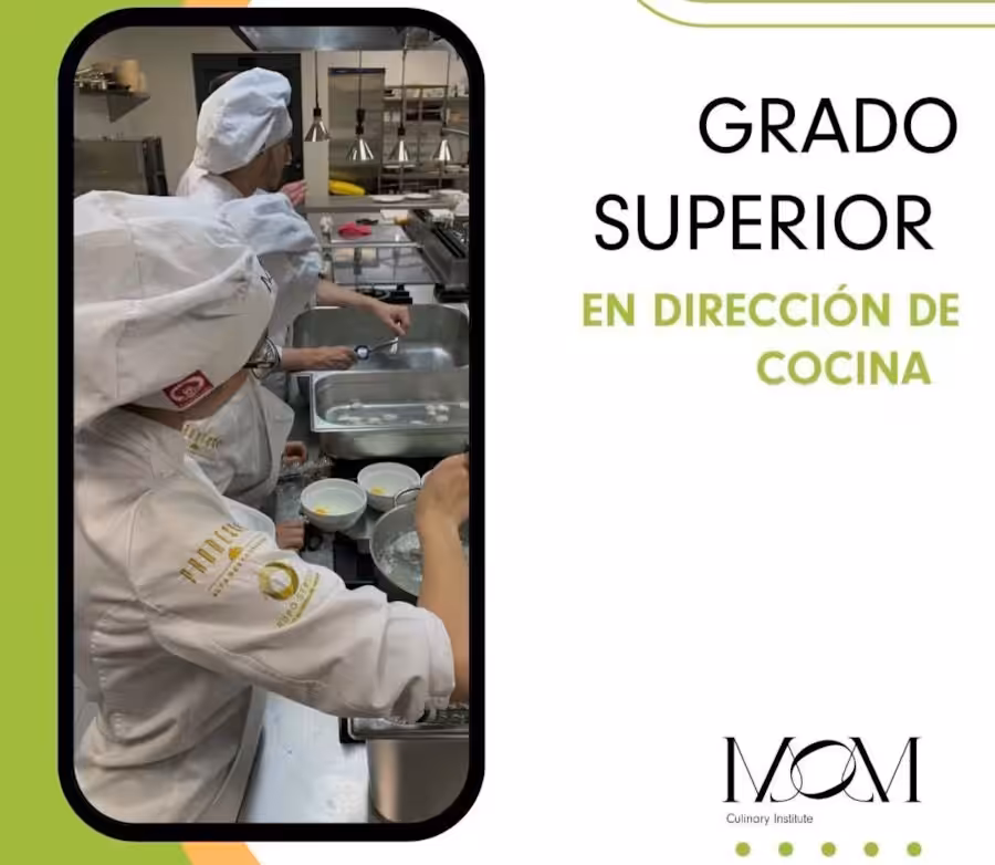 beca_curso