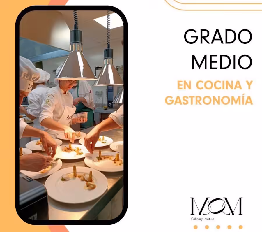 beca_gradomedio