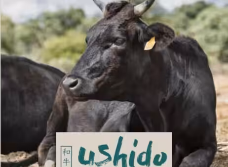 ushido_portada