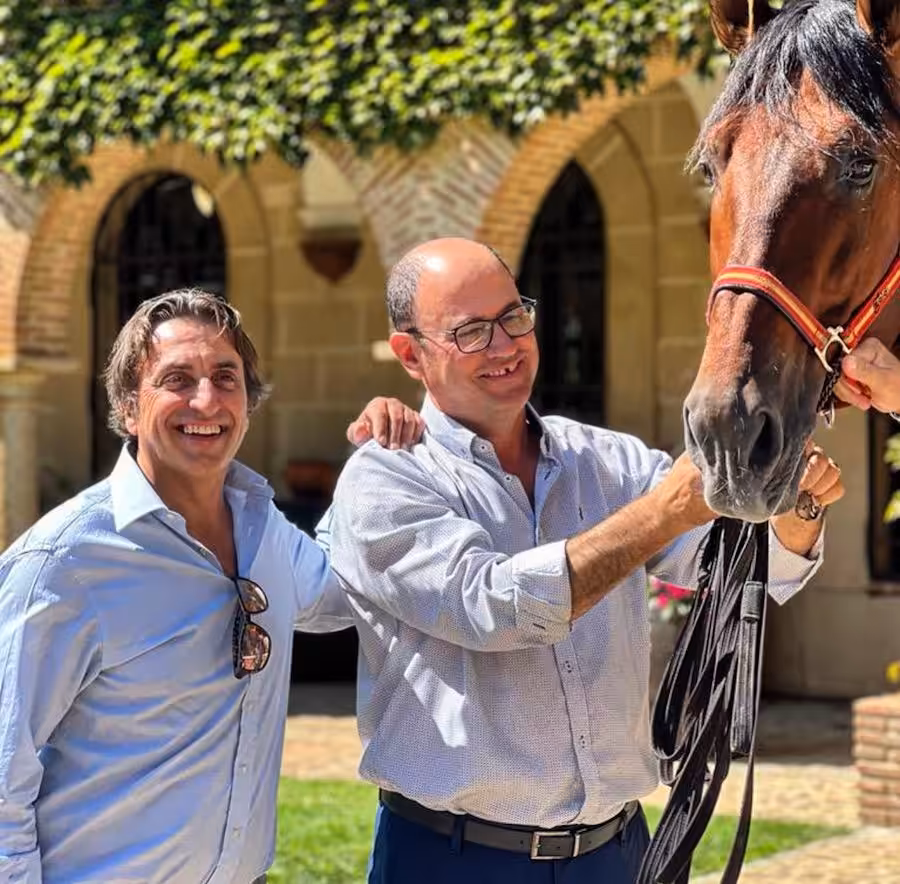 trujillo_caballos
