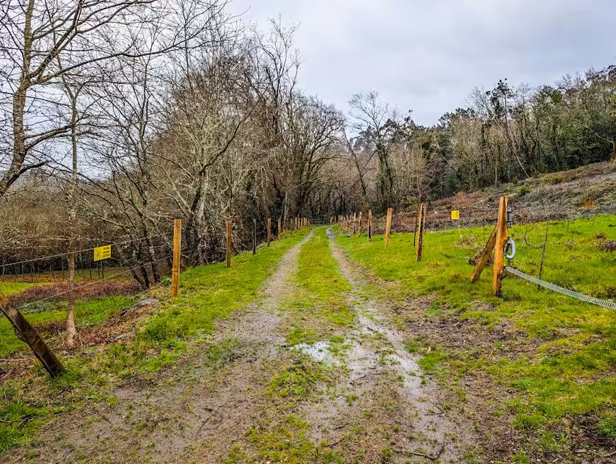 aldea_camino