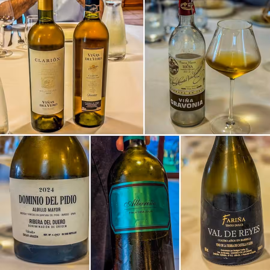 galino_vinos