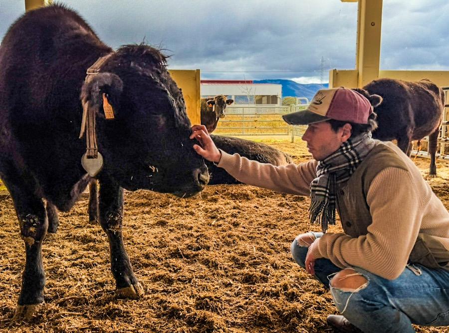 discarlux_pabloportas