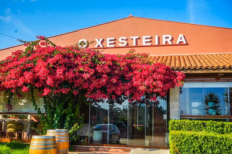 oxesteira_entrada