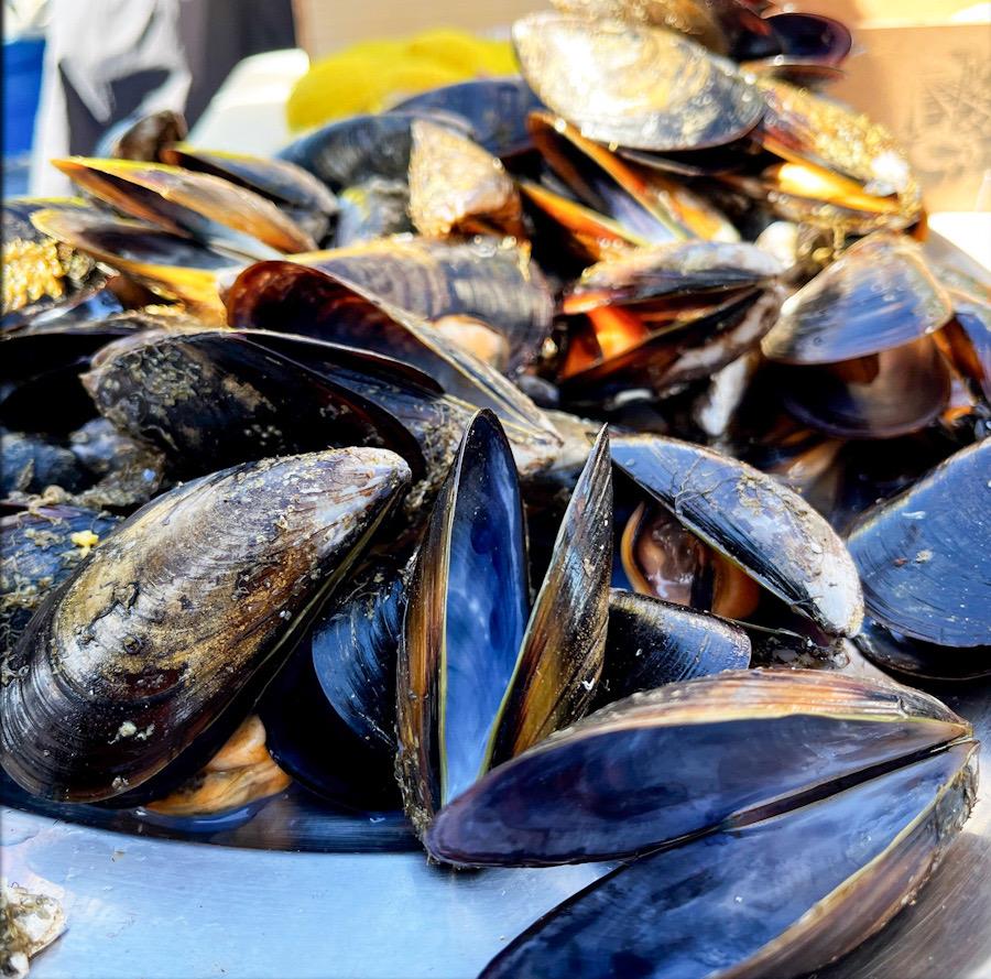 galicia_mejillones